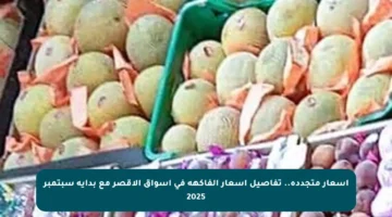 أسعار متجددة.. تفاصيل أسعار الفاكهة في أسواق الأقصر مع بداية سبتمبر 2025